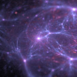 neurons
